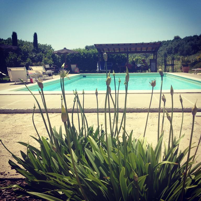 Il Borghetto Andrea Tafi Casa de hóspedes Lamporecchio Exterior foto