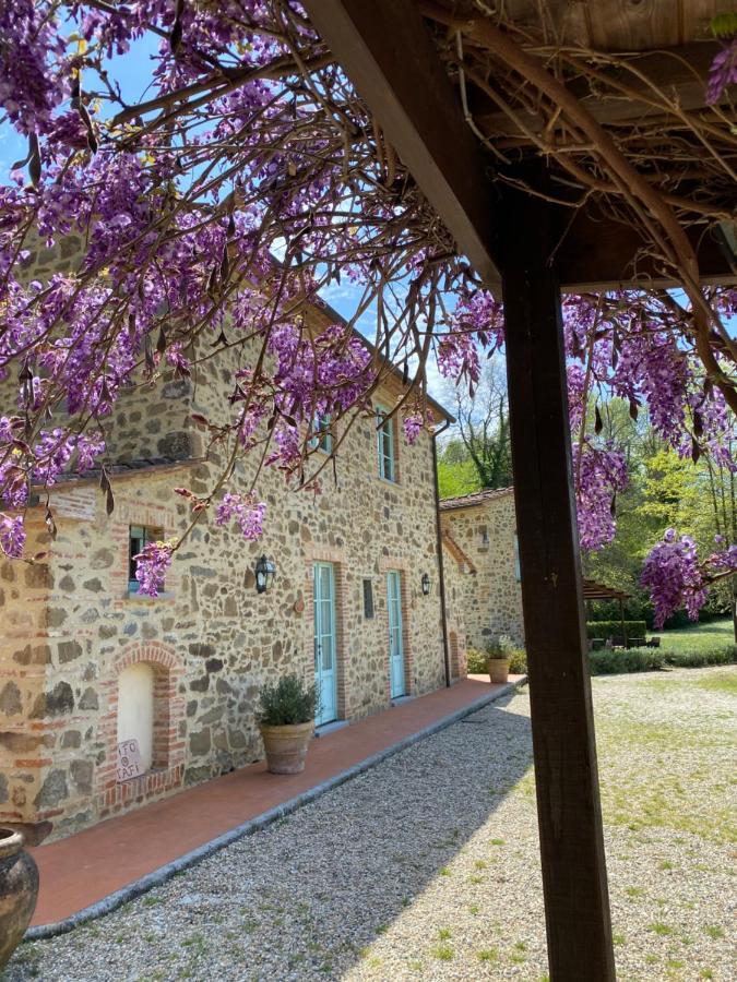 Il Borghetto Andrea Tafi Casa de hóspedes Lamporecchio Exterior foto