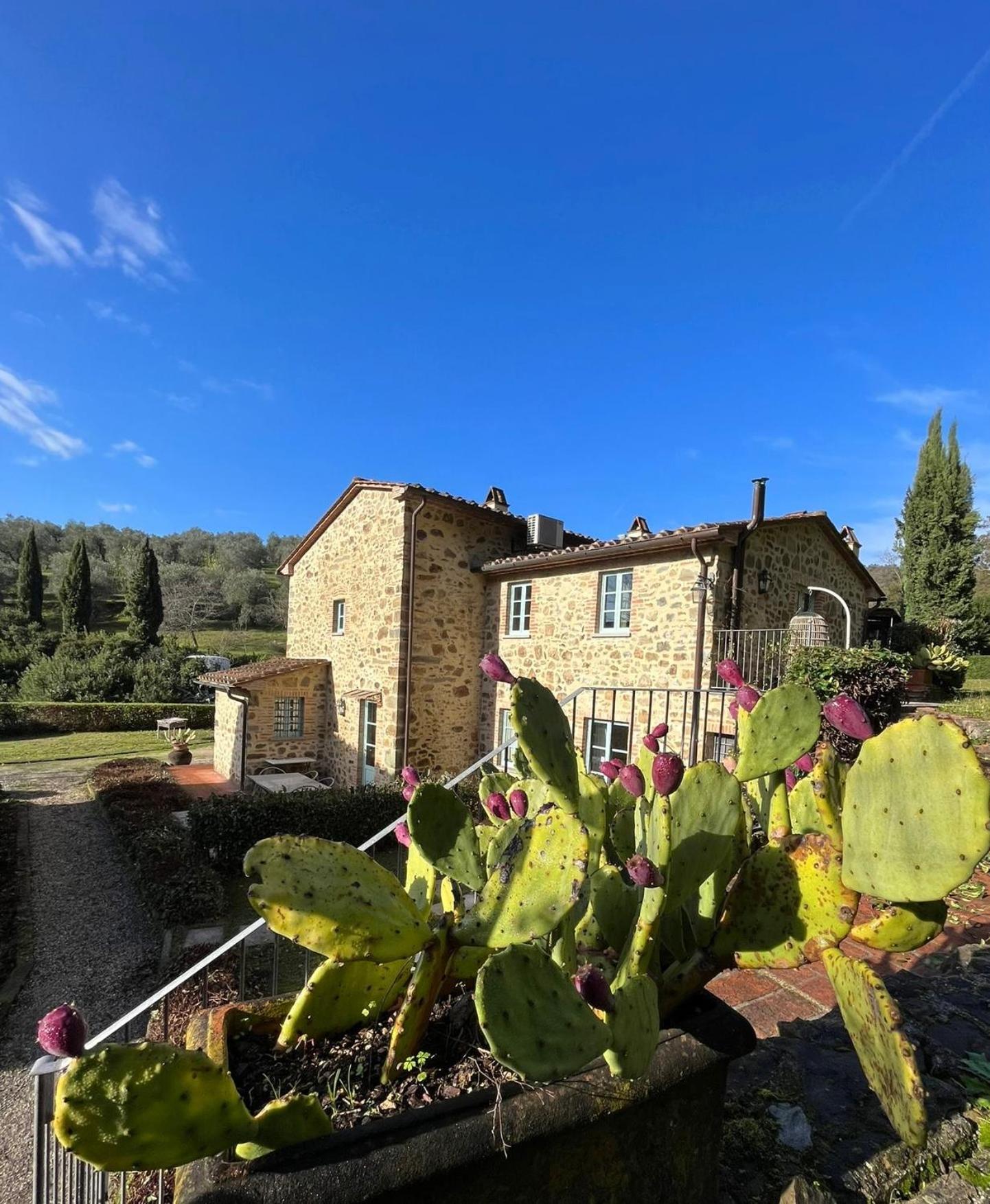 Il Borghetto Andrea Tafi Casa de hóspedes Lamporecchio Exterior foto